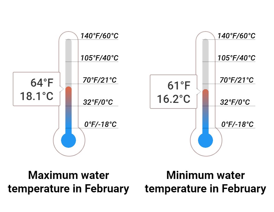 Average Sea temperature